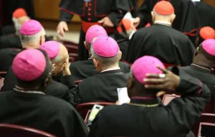 Participants in the Vatican Synod Hall during the Synod on the Family in Oct. 2014. Daniel/Ibanez/CNA.