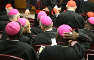 Participants begin to enter the Vatican's Synod Hall before the Friday session of the Synod on the Family, Oct. 10, 2014.   Daniel Ibáñez/CNA.