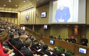 Participants listen to a presentation at the Human Colloquium in the Vatican's Synod Hall, Nov. 18, 2014.   HUMANUM.