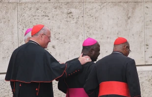 Participants in the 2014 Synod on the Family depart the Vatican's Synod Hall.   Bohumil Petrik/CNA.