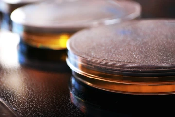 Petri Dishes and Agar Credit Carissa Rogers via Flickr CC BY 20 CNA 2 3 15