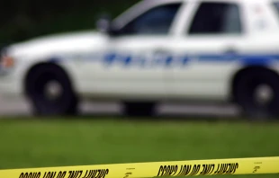 Steve Pepple/Shutterstock.