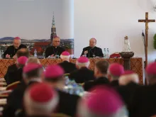 Archbishop Charles Scicluna (R) addresses the Polish bishops' plenary assembly in Wałbrzych, June 14 2019. 