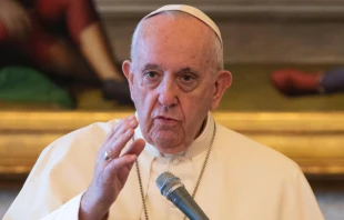 Pope Francis delivers his general audience via livestream on Aug. 12, 2020.   Vatican Media/CNA.