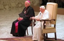 Pope Benedict XVI delivers his Nov. 14, 2012 general audience address in Paul VI Hall. ?w=200&h=150