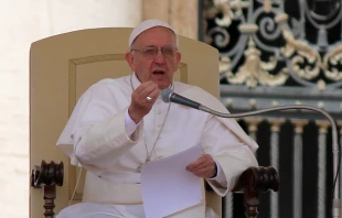 Pope Francis in St. Peter's Square during the Wednesday general audience on May 22, 2015.   Stephan Driscoll/CNA.