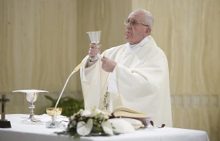 Pope Francis says Mass at the chapel of Santa Marta house in the Vatican, April 11, 2016.   L'Osservatore Romano.