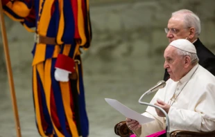 Pope Francis delivers a General Audience Address in the Vatican's Paul VI Hall, Feb. 12, 2020.   Daniel Ibanez/CNA.