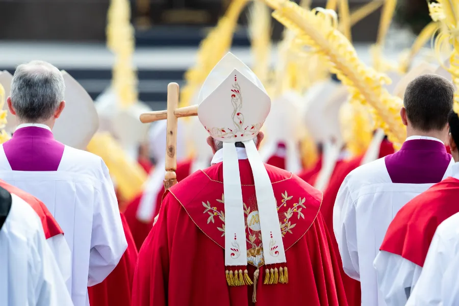 Pope Francis' procession through the crowds bearing palms in St. Peter's Sqaure on Palm Sunday 2019. ?w=200&h=150