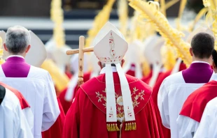 Pope Francis' procession through the crowds bearing palms in St. Peter's Sqaure on Palm Sunday 2019.   Daniel Ibanes/CNA.