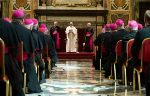 Pope Francis addresses apostolic nuncios in the Vatican's Clementine Hall, June 13, 2019.   Vatican Media.