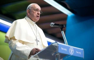 Pope Francis addresses the United Nations' Food and Agriculture Organization (FAO) at their headquarters in Rome on Nov. 20, 2014.   FAO Giulio Napolitano.