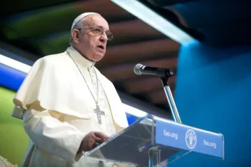 Pope Francis addresses the United Nations Food and Agriculture Organization FAO at their headquarters in Rome on Nov 20 2014 Credit FAO Giulio Napolitano CNA