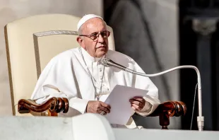Pope Francis at the November 7, 2018 general audience.   Daniel Ibanez