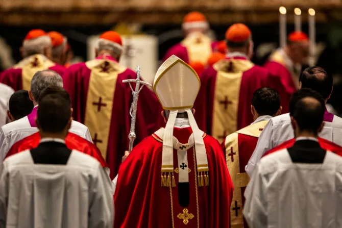 Pope Francis at Mass for the repose of the souls cardinals and bishops who died this year in St Peters Basilica Nov 4 Credit Daniel Ibanez CNA Size