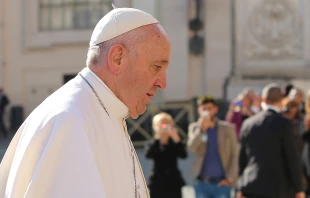 Pope Francis at the general audience in St. Peter's Square on Nov. 4, 2015.   Daniel Ibanez/CNA.