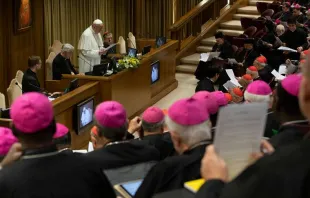 A 2019 meeting in the Vatican's New Synod Hall.   Vatican Media.