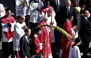 Pope Francis blesses palms during Palm Sunday Mass in St. Peter's Square April 9, 2017.   Lucia Ballester/CNA.