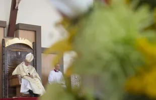 Pope Francis celebrates Mass at Guayaquil in Ecuador on July 6, 2015.   L'Osservatore Romano.