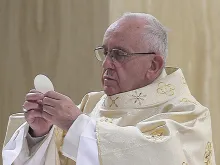 Pope Francis celebrates Mass. 