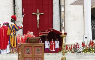 Pope Francis celebrates Mass for the Solemnity of Pentecost in St. Peter's Square on June 4, 2017.   Daniel Ibáñez/CNA.