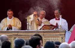 Pope Francis celebrates Mass in Rome's Campo Verano cemetery for All Saints Day on Nov. 1, 2013. ?w=200&h=150