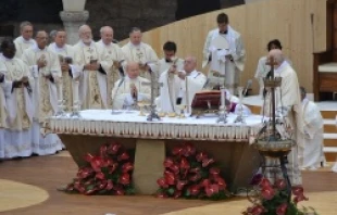 Pope Francis celebrates Mass in the Piazza San Franchesco in Assisi Oct. 4, 2013   Andrea Gagliarduci/CNA.