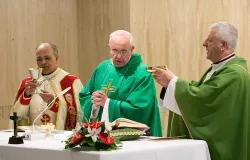 Pope Francis celebrates Mass in the chapel of St. Martha's House on June 18, 2013. ?w=200&h=150