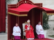 Pope Francis celebrates Palm Sunday Mass in St. Peter's Square on April 13, 2014. 