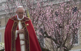 Pope Francis celebrates Palm Sunday Mass on March 24, 2013 in St. Peter's Square.   Sabrina Fusco/CNA.