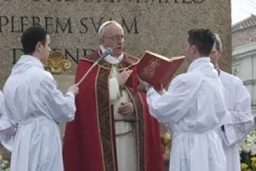 Pope Francis celebrates Palm Sunday Mass on March 24 2013 in St Peters Square Credit Sabrina Fusco CNA EWTN