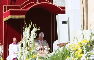 Pope Francis says a Mass of Beatification in St. Peter's Square, Oct. 19, 2014.   Lauren Cater/CNA.