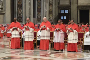 Pope Francis creates five new cardinals during a consistory in St Peters Basilica on June 28 2017 Credit LOsservatore Romano 1 CNA