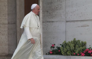 Pope Francis departs the Vatican's Synod Hall, Oct. 16, 2014.   Bohumil Petrik/CNA.
