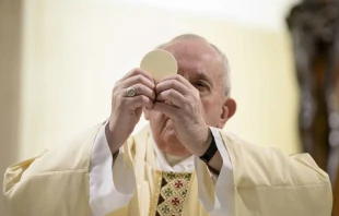 Pope Francis during Mass in the Casa Santa Marta May 16, 2020.   Vatican Media.