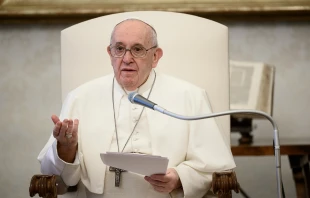 Pope Francis gives his general audience via livestream June 17, 2020.   Vatican Media/CNA.