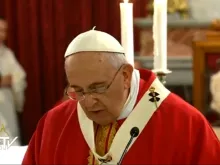 Pope Francis gives his homily during Mass in Istanbul on Nov. 29, 2014. 