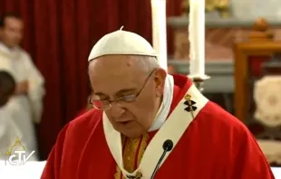 Pope Francis gives his homily during Mass in Istanbul on Nov. 29, 2014.   CTV.