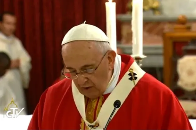 Pope Francis gives his homily during Mass in Istanbul on Nov 29 2014 CNA Credit CTV