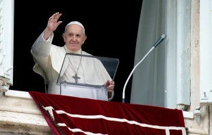Pope Francis gives the Angelus address Aug. 30, 2020.   Vatican Media.
