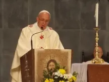 Pope Francis delivers a homily during Mass for bishops, clergy and consecrated religious at Rio's cathedral (