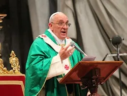 Pope Francis gives the homily during Mass in St. Peter's Basilica on July 7, 2013. ?w=200&h=150