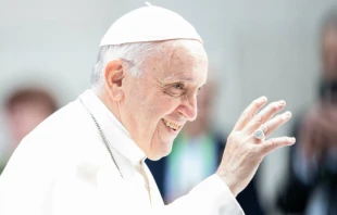 Pope Francis at the 2018 World Meeting of Families in Ireland.   Daniel Ibanez/CNA.