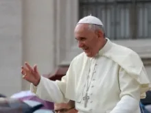 Pope Francis greets pilgrims during his Oct. 9, 2013 general audience. 