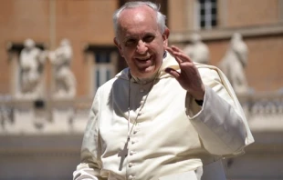Pope Francis greets pilgrims during his general audience on May 14, 2014   Daniel Ibanez/CNA