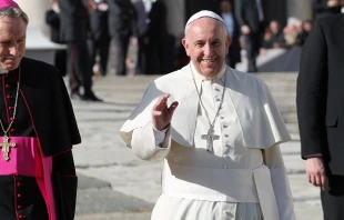 Pope Francis greets pilgrims during his general audience Nov. 29, 2014.   Bohumil Petrik/CNA.