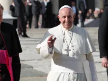Pope Francis greets pilgrims during his general audience on Nov. 19, 2014. 