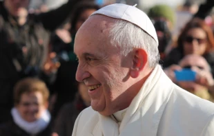 Pope Francis greets pilgrims during the Wednesday general audience on Jan. 8, 2014   Kyle Burkhart/CNA
