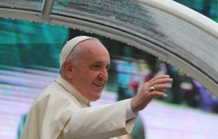 Pope Francis greets pilgrims in St. Peter's Square during his general audience on Nov. 26, 2014.   Bohumil Petrik/CNA.