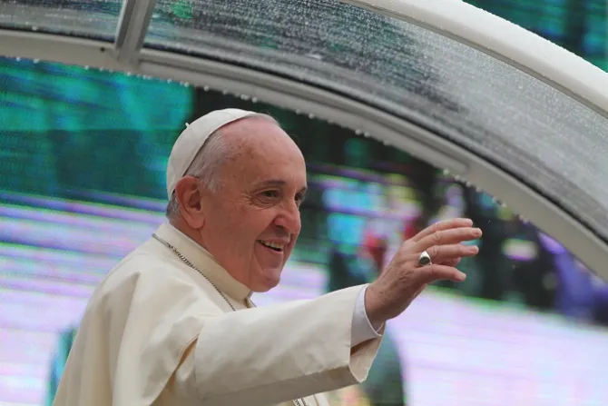 Pope Francis greets pilgrims in St Peters Square during his general audience on Nov 26 2014 Credit Bohumil Petrik CNA
